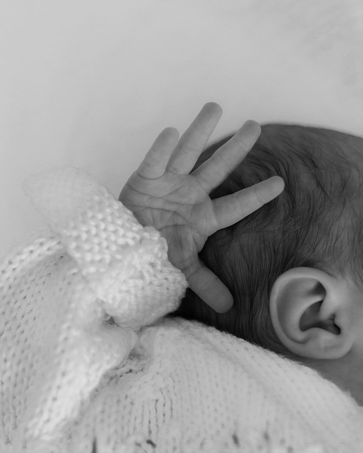 Newborn photographer cairns