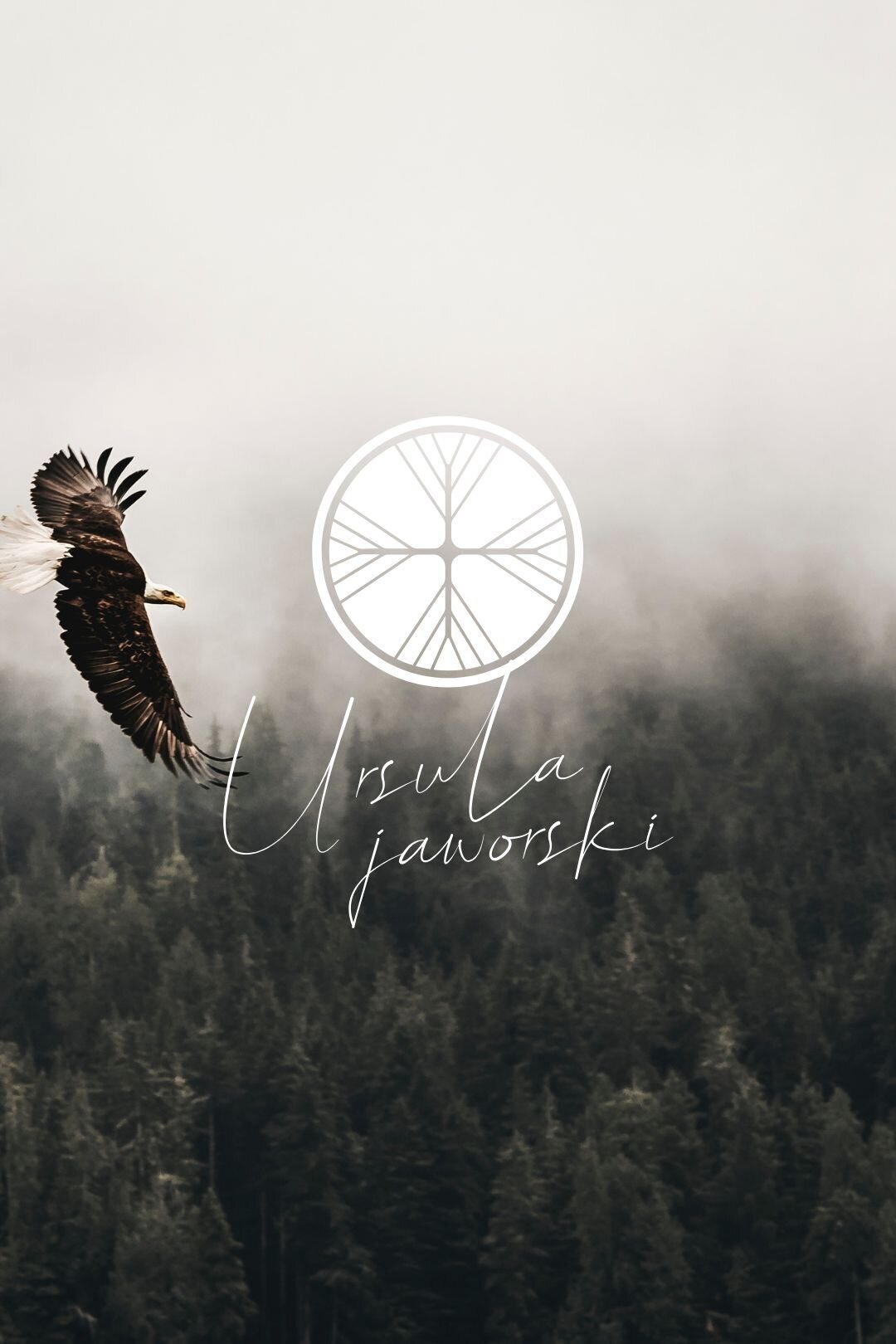 portfolio-bewildstudio-VAT9