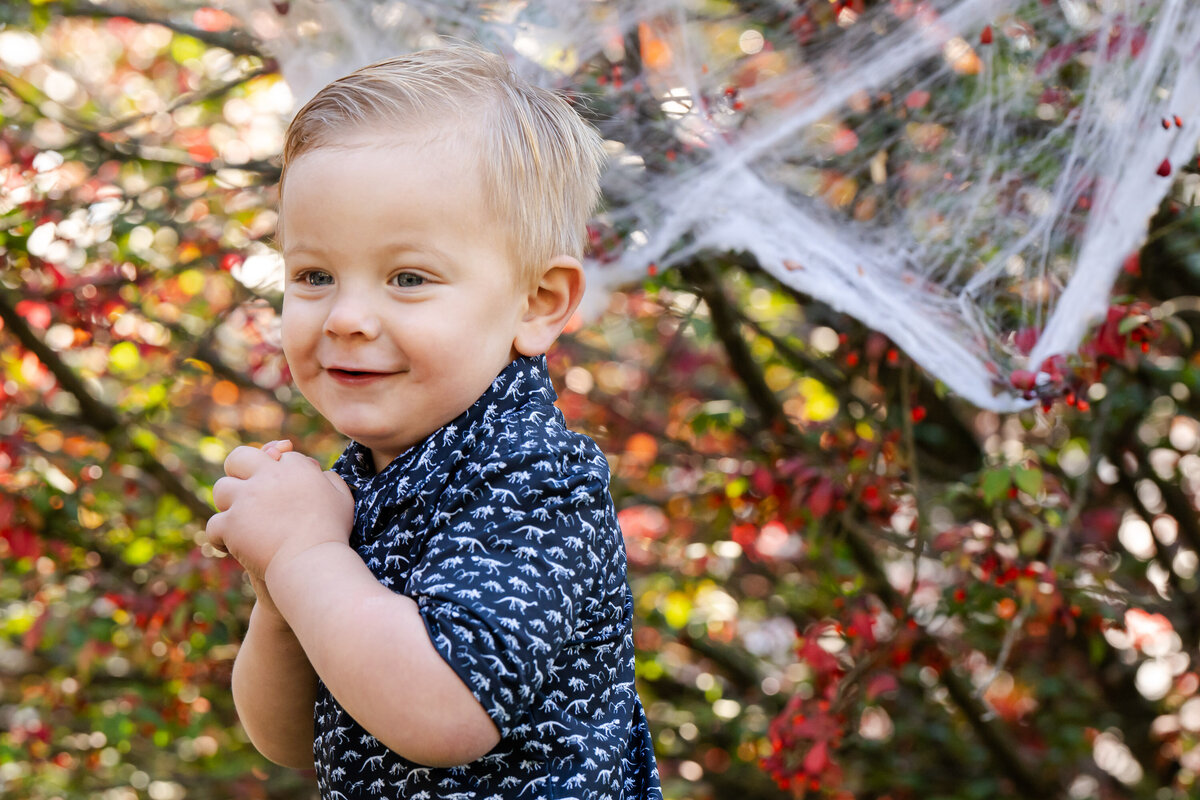 RHOBACK_PORTFOLIO-1-2