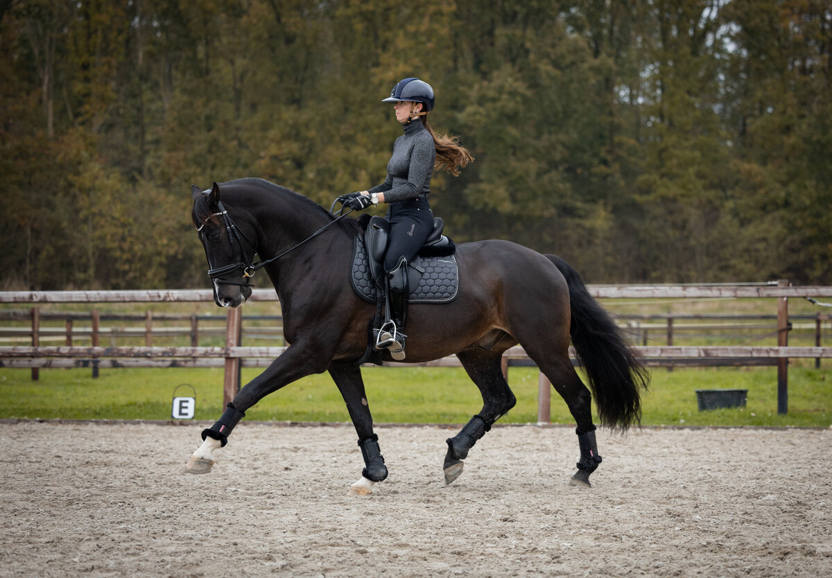 382A0693 - Hoge resolutie