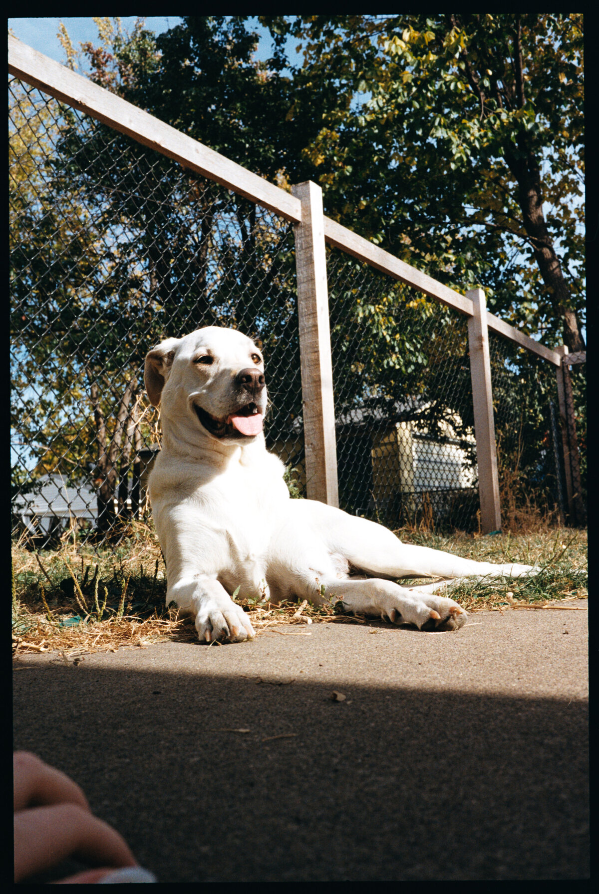 loui_photography_personal-2