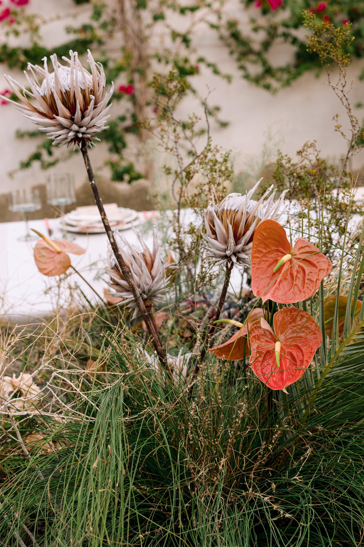 brefloresphotography-korakiapalmsprings-48