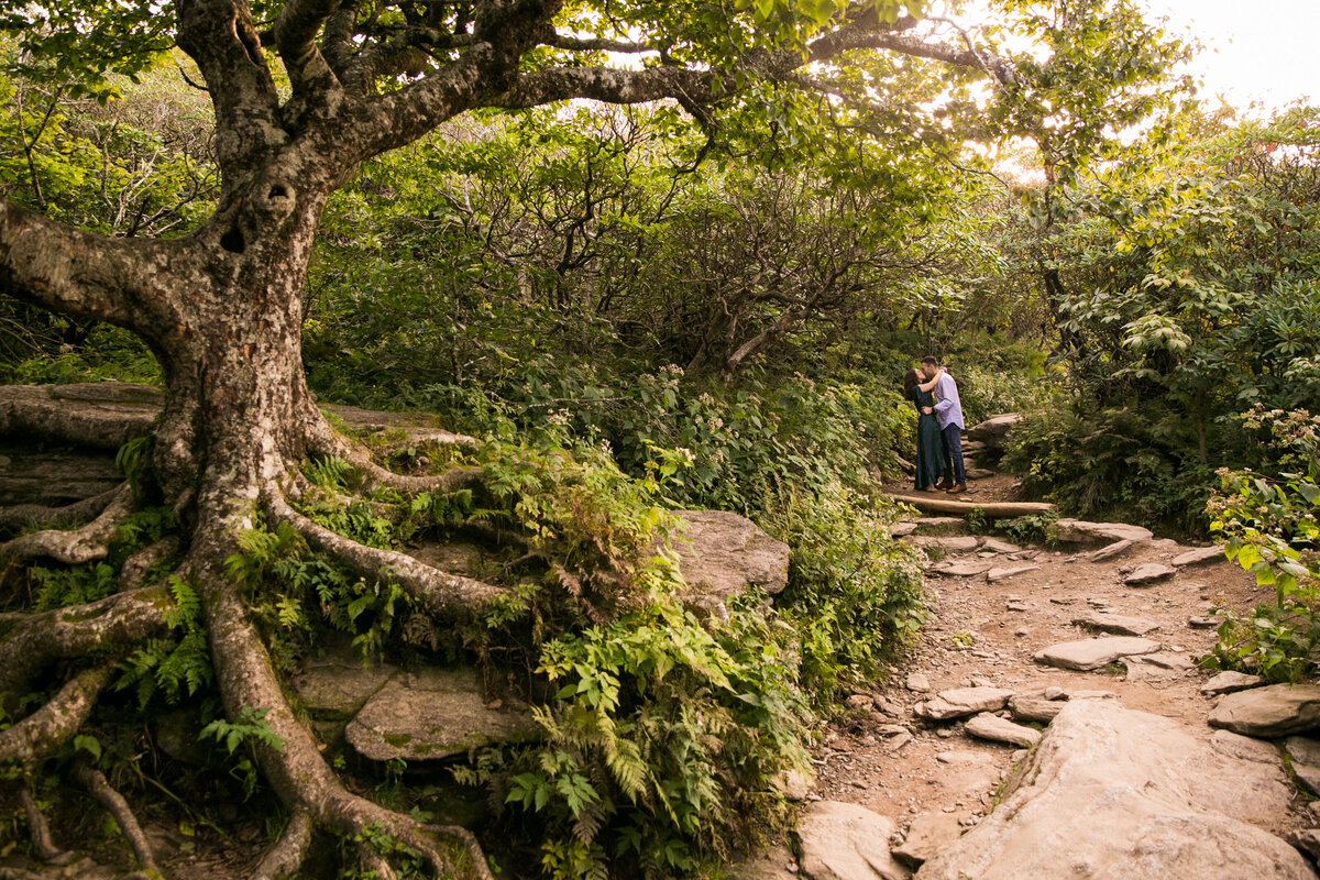 cool-tree-engagement