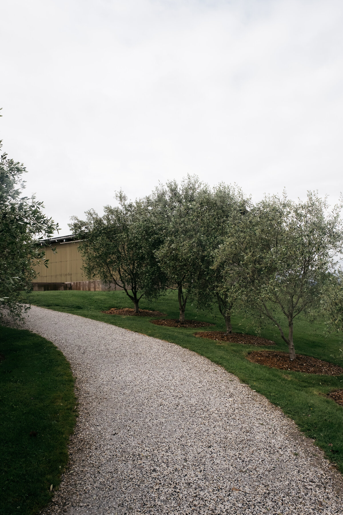 Courtney Laura Photography, Zonzo Estate, Yarra Valley Wedding Photographer, Amy and Fletcher-275