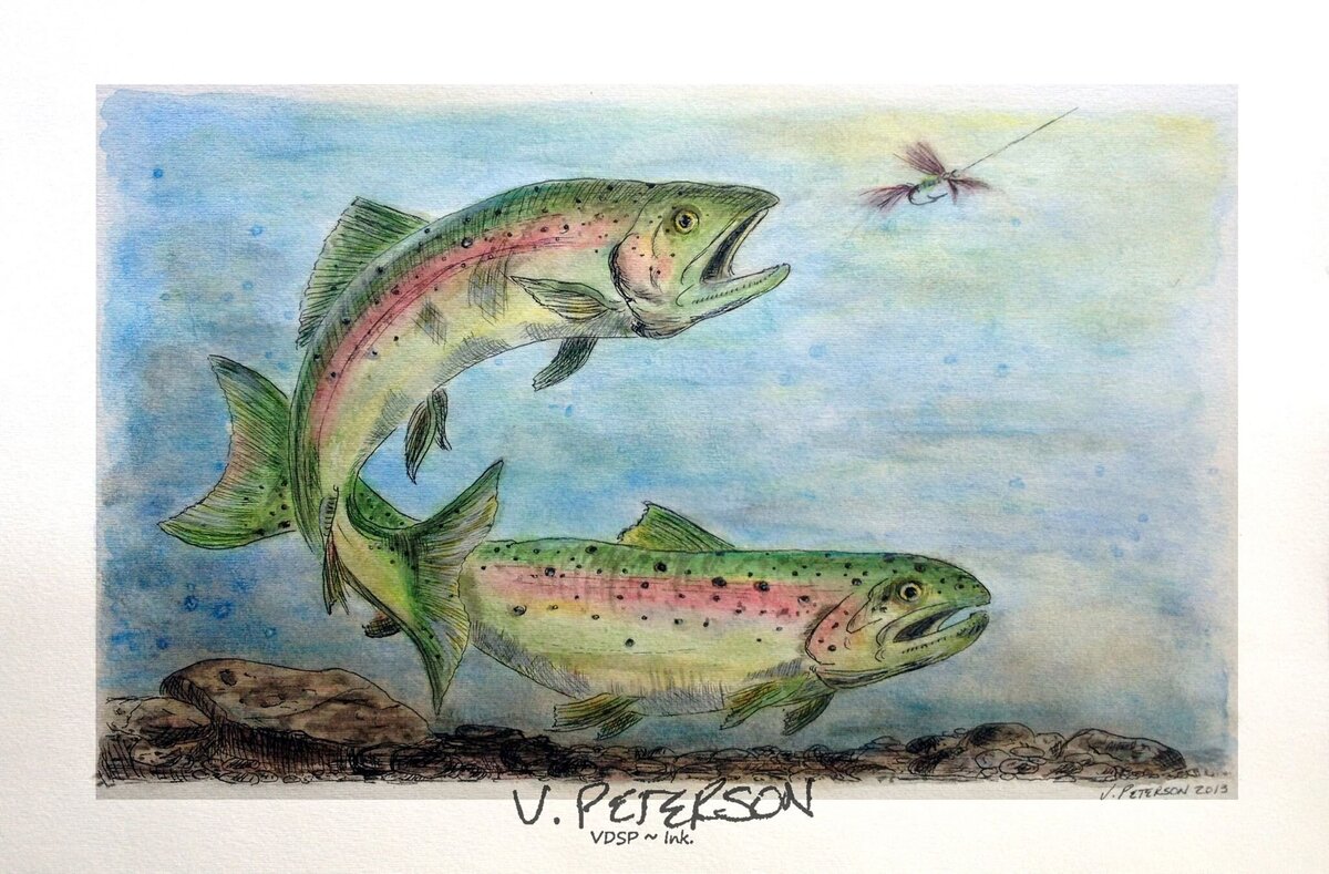 trout