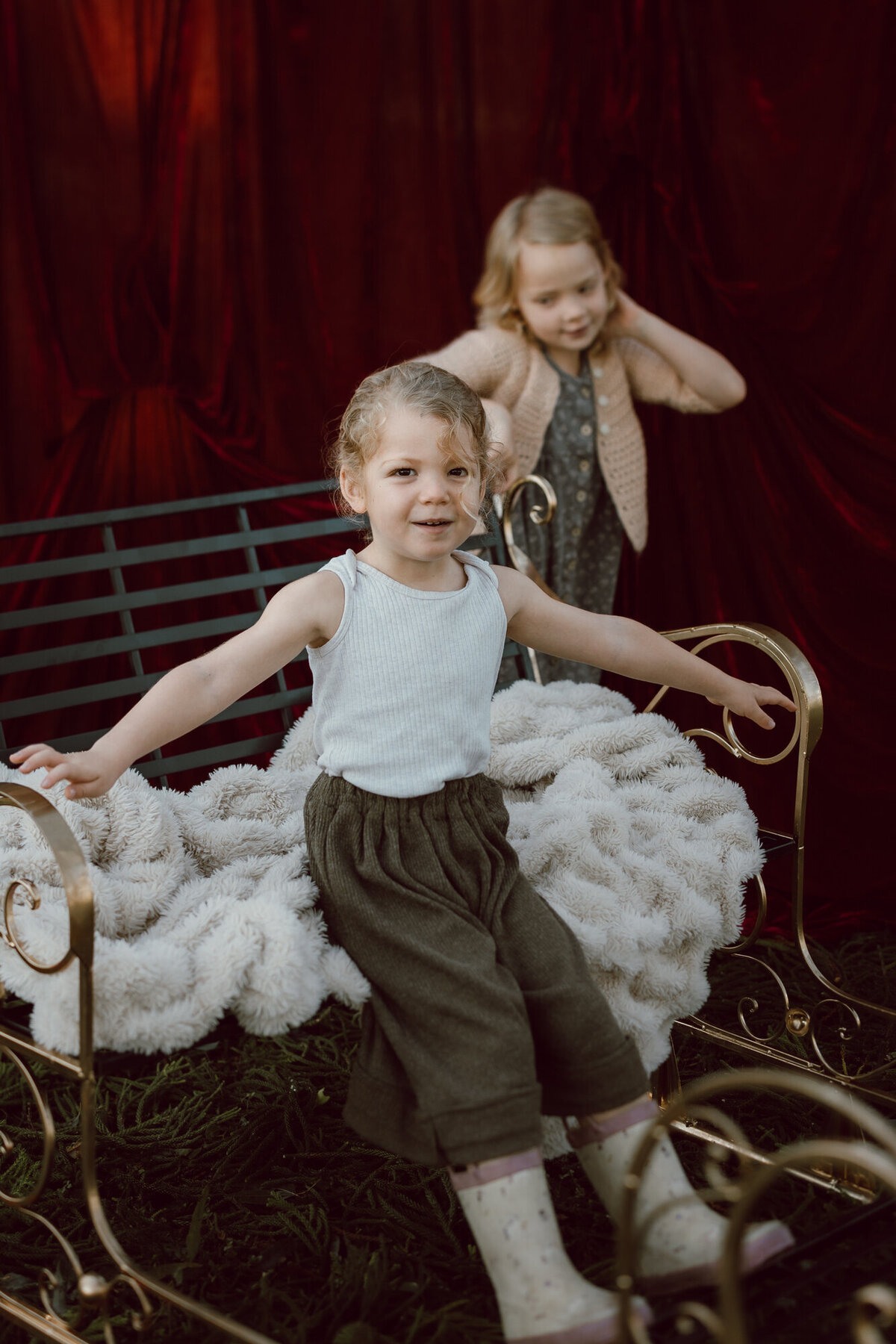 christmas-mini-photoshoot-brisbane