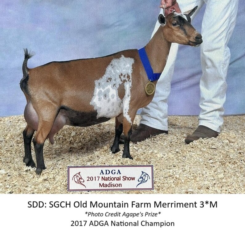 sdd