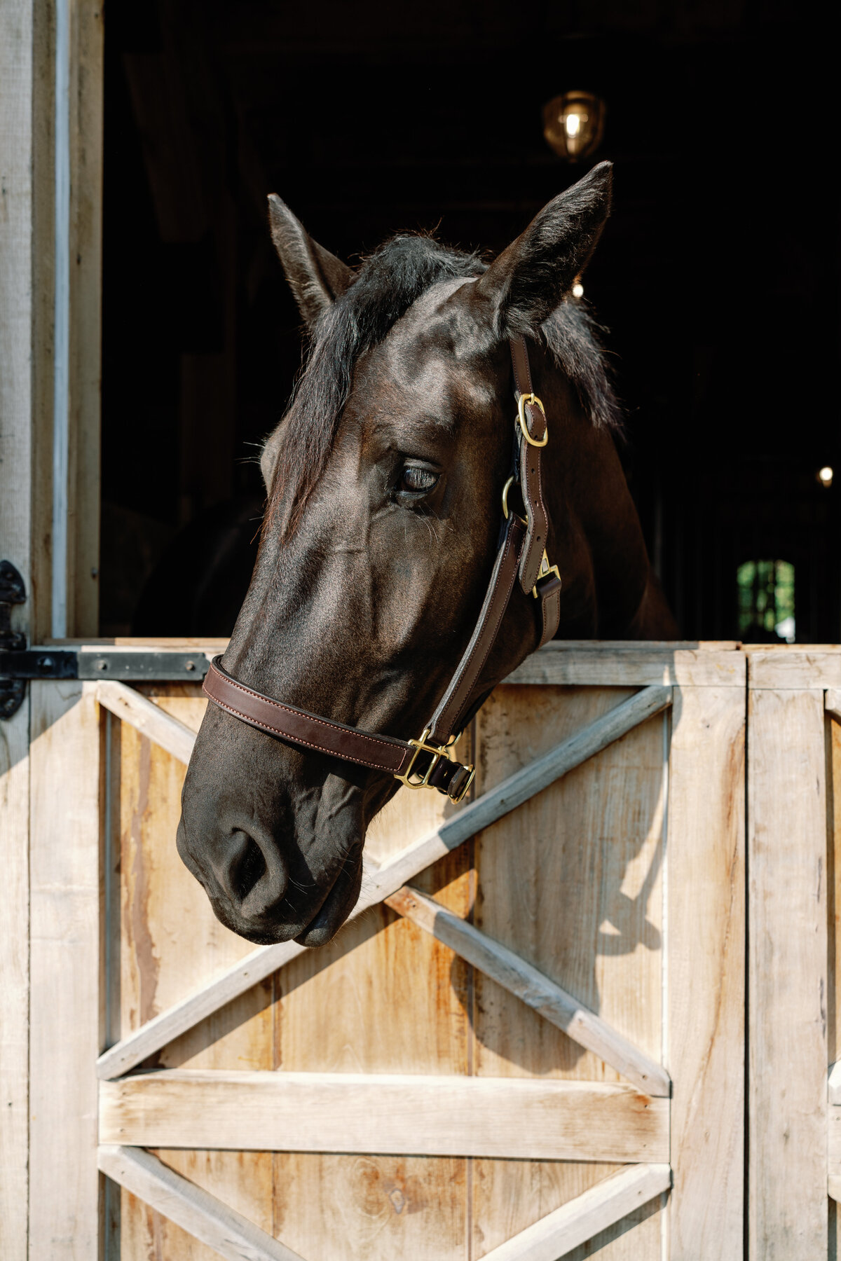 Equestrian wedding