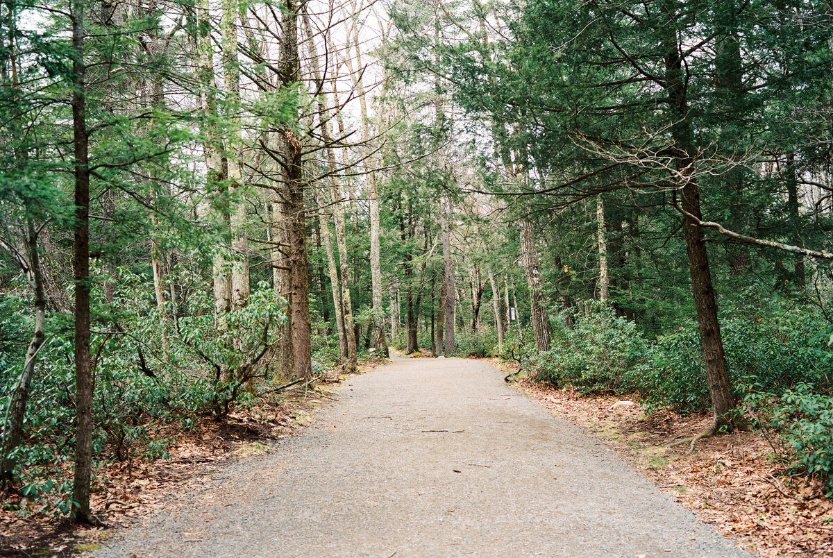 awosting-falls-minnewaska-state-park-new-york-jamie-shields-photography-2