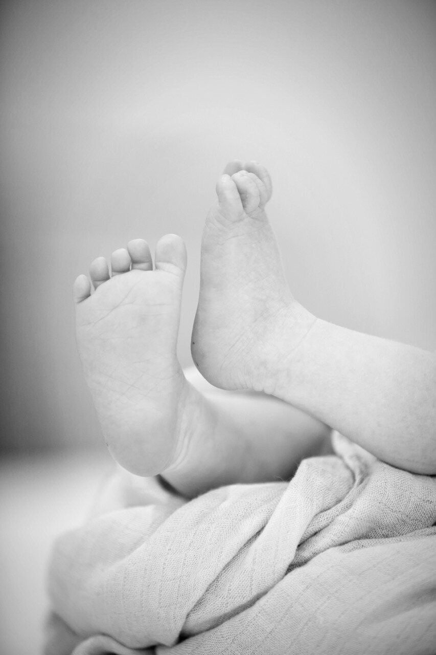 1-neborn-natural-light-orange-county-lauren-ford-photography.