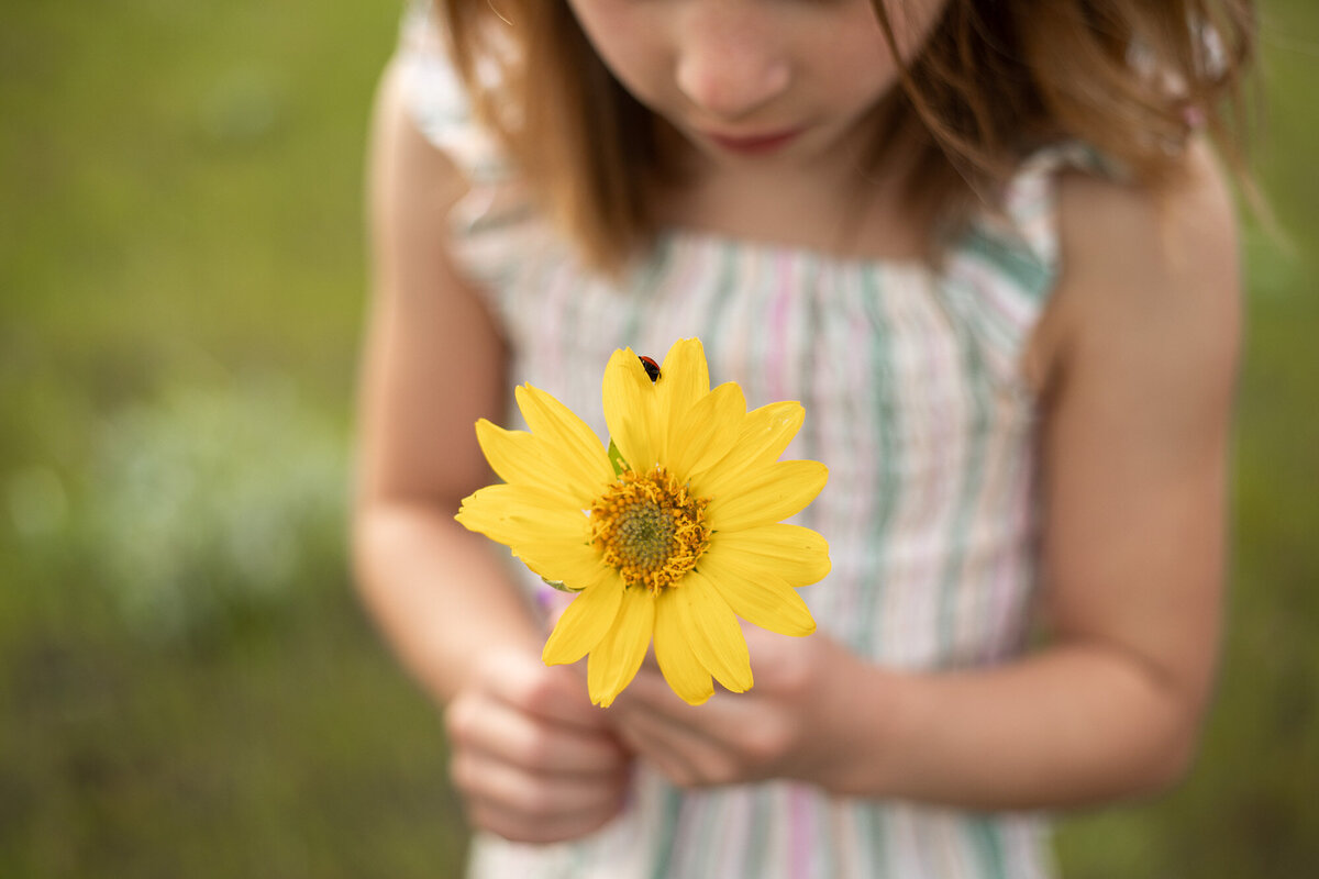 little girl holding a balsam root flower in the columbia river gorge.