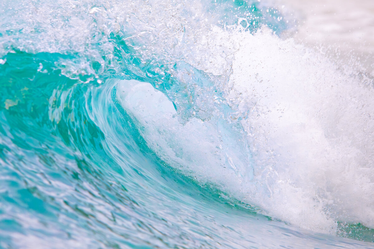 Tropical Wave by Michael Kaal Photography 
