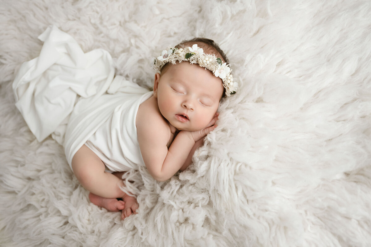 Pittsburgh Newborn Photographer