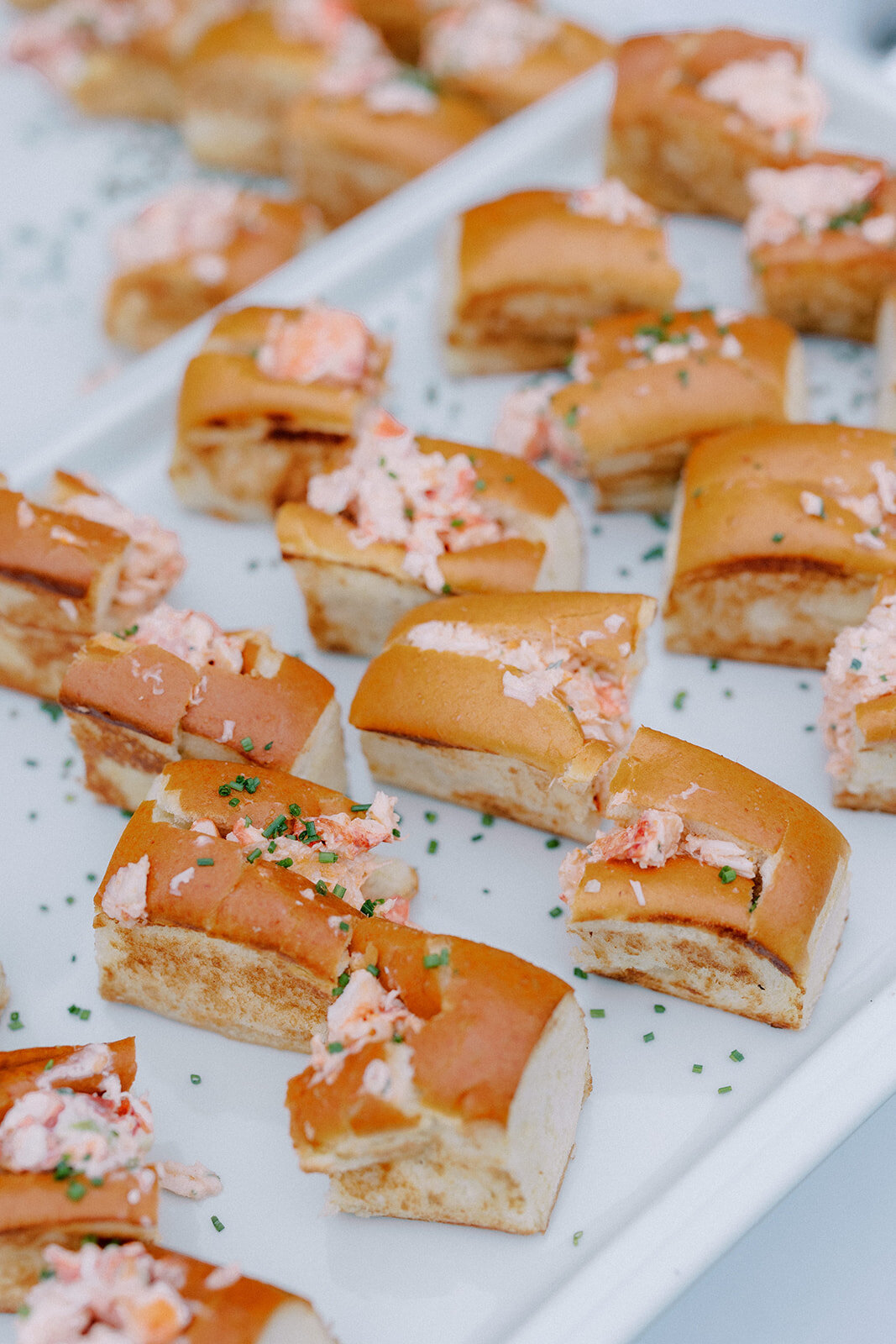 Harbor View Hotel Edgartown MV Wedding-By Halie Wedding Photography-EB20240622-FINAL-916
