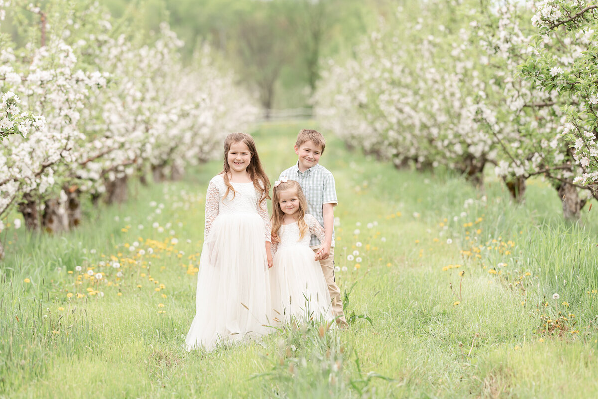 appleorchardmayhew24