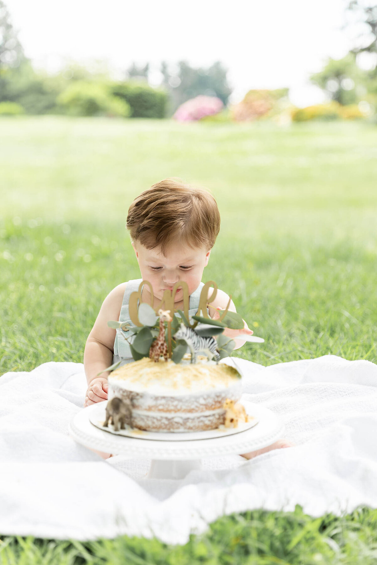 baby-first-birthday-cake-smash-photo-session-connecticut4