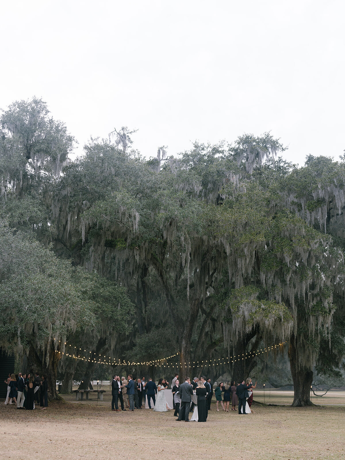 Crystal Gwenshon Photography Best Wedding Engagement Photographer Charleston South Carolina Middleton Place-20