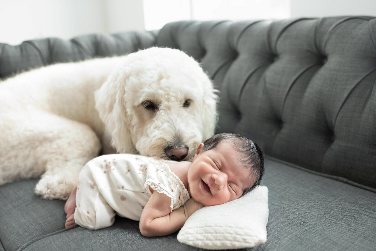 Smiling baby with dog by Alexandria VA newborn photographer