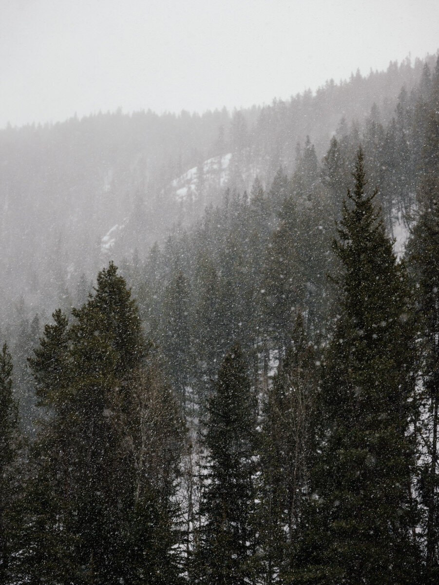 leila-brewster-photography-crested-butte-0129