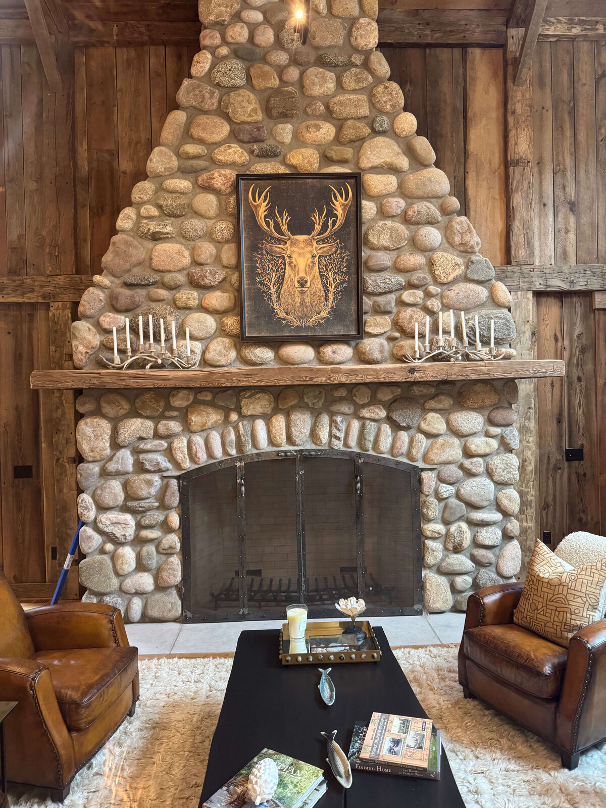 Fireplace Doors