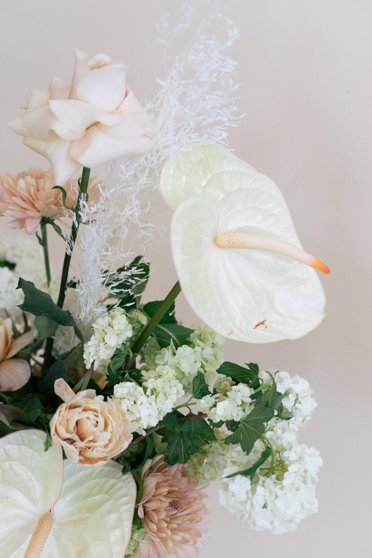 Diosa-Blooms-April-2021-8040