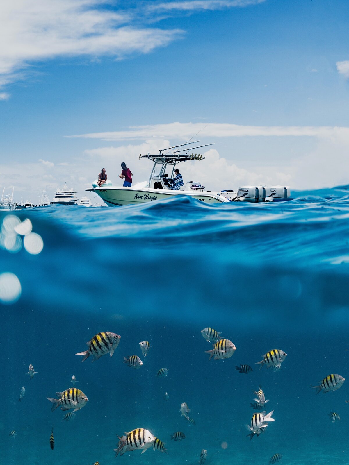sport fishing