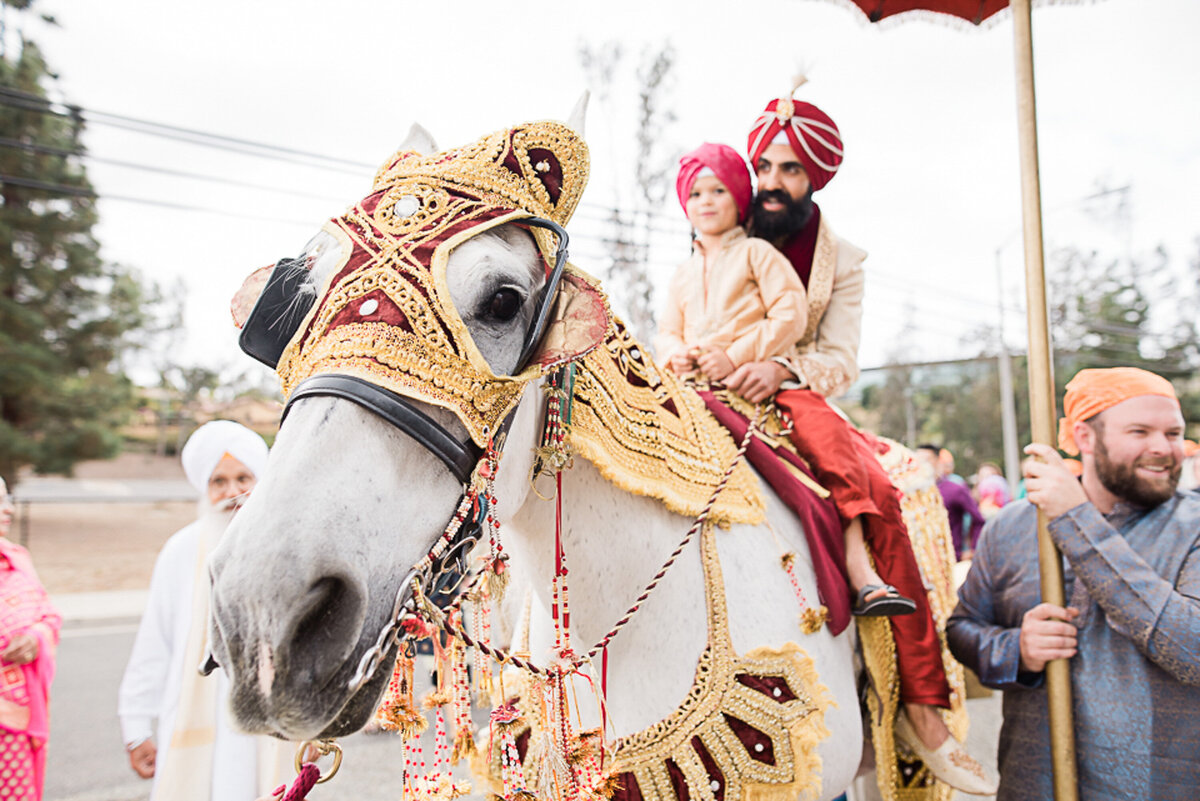 Indian Baraat San Diego Wedding Photographer-2
