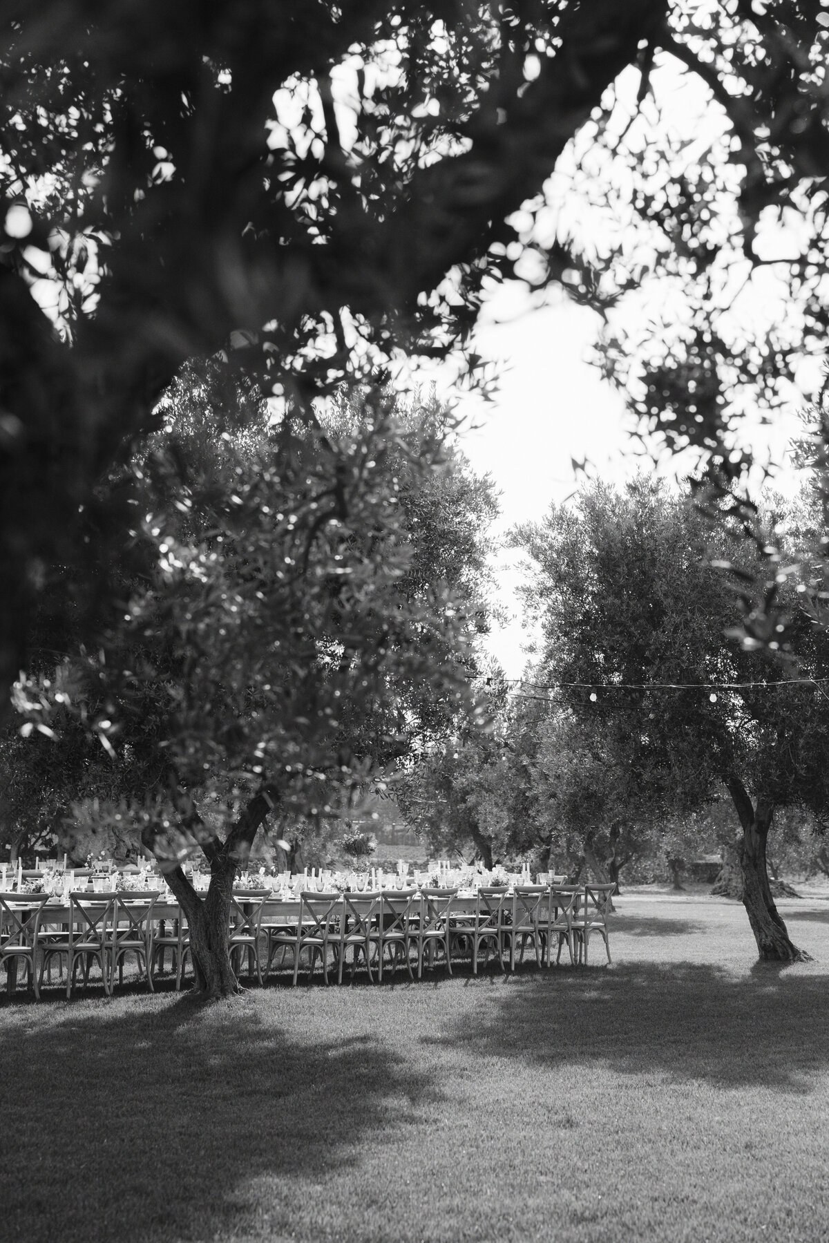 italian-wedding-puglia-olive-and-oath129