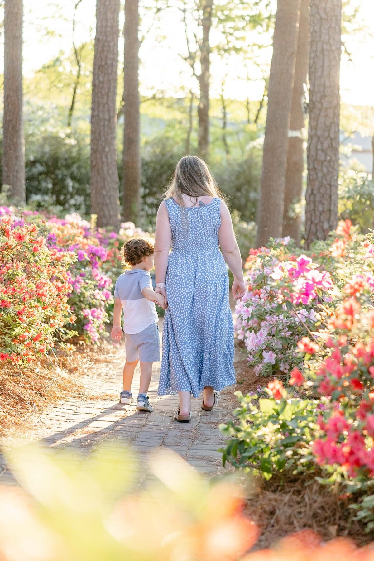 Raleigh-NC-spring-Mini-Session-Magnolia-and-Grace-Photography-Co-AmyB# (1)-33