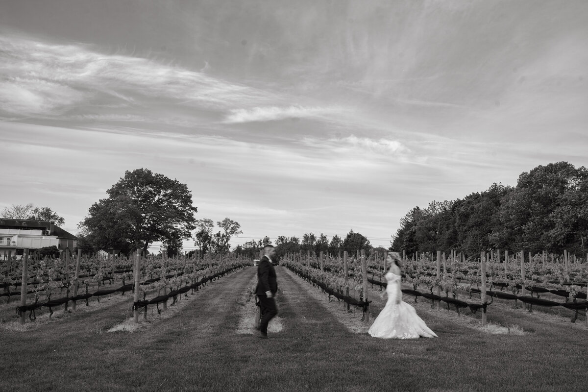 vineyardsataquebogue-143