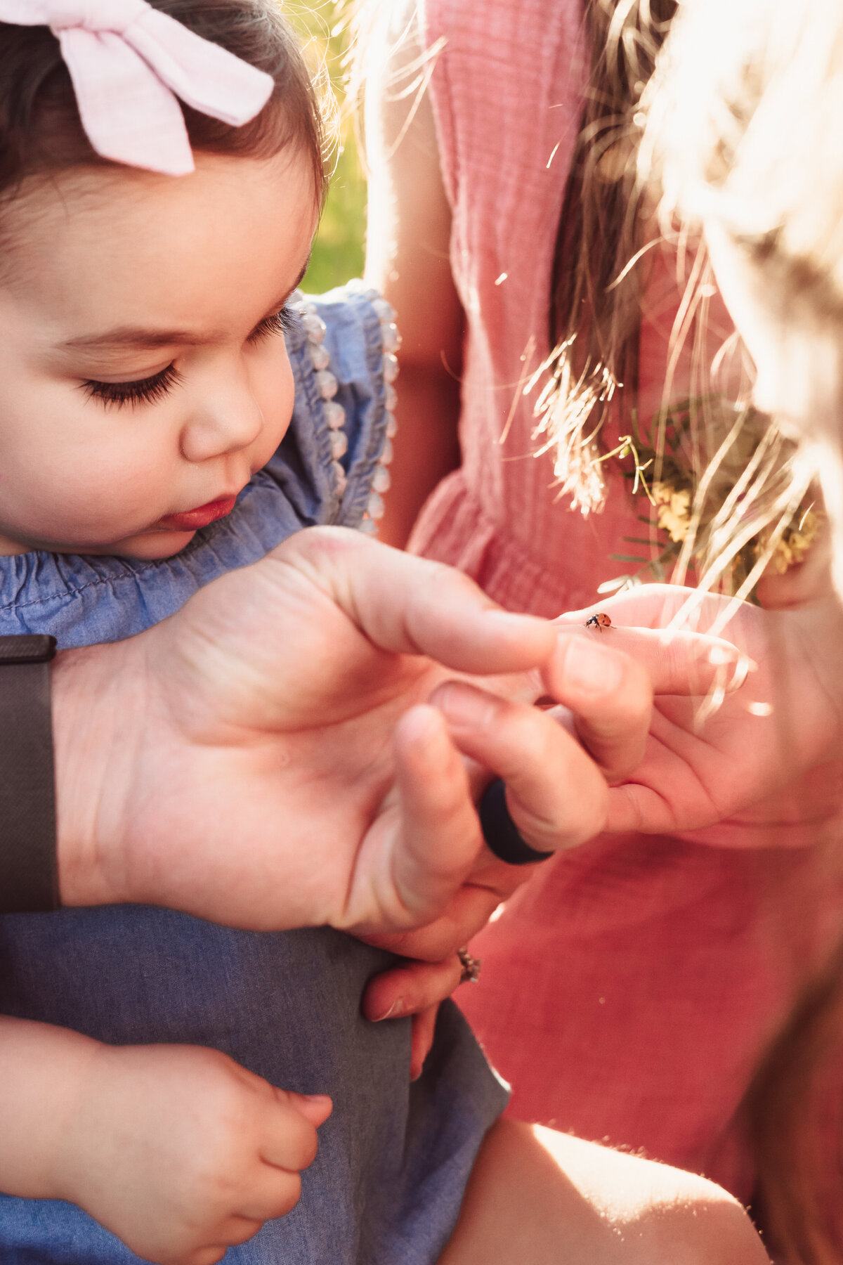 Knoxville Family Photographer