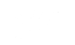 American Automobile Association White Logo