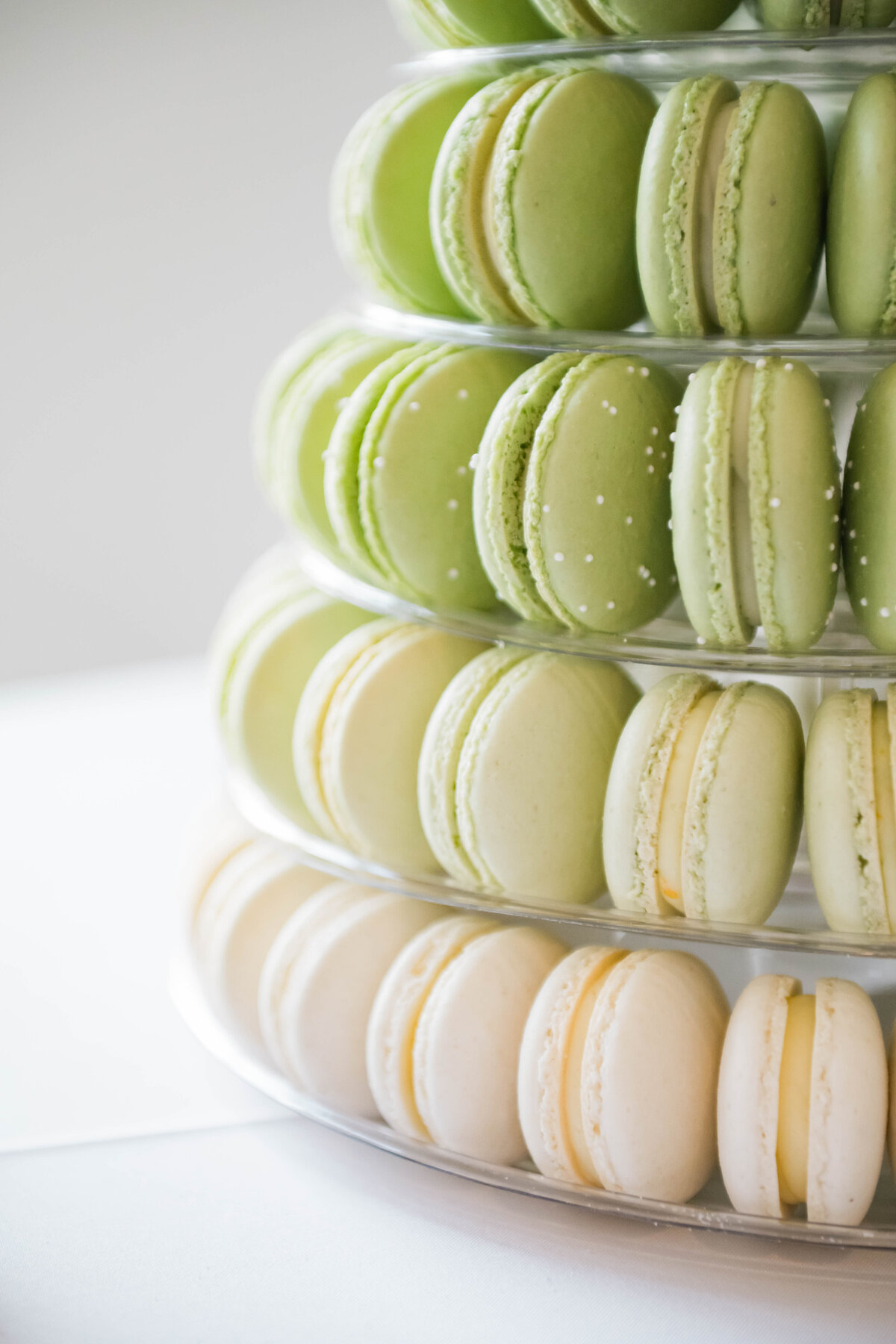 The Belvedere-Wedding Content_Brooke Bakken Photography-0541