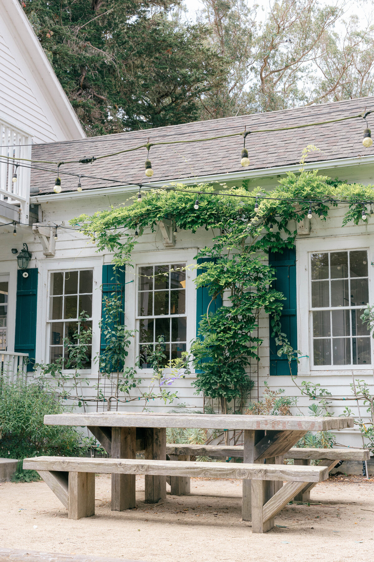 Straus Home Ranch, Marshall, CA -46