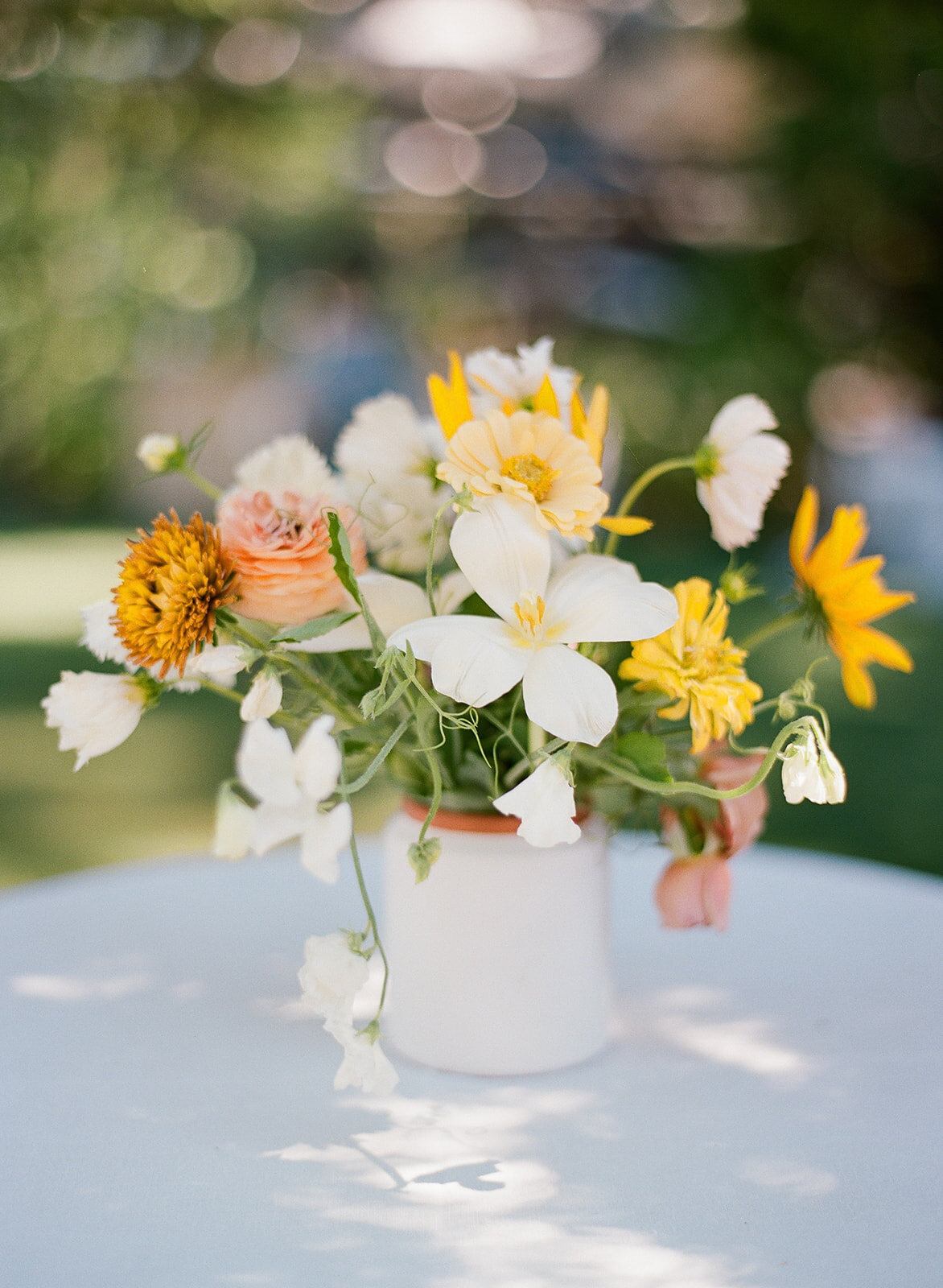 Clare and Nick_Janine Licare Photography-78