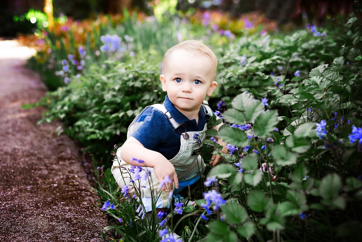 1 year old boy sitting in flowers