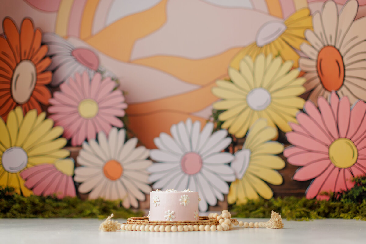 Hippy Retro Daisy Huntsville AL Best Cake Smash First Birthday Photographer Studio