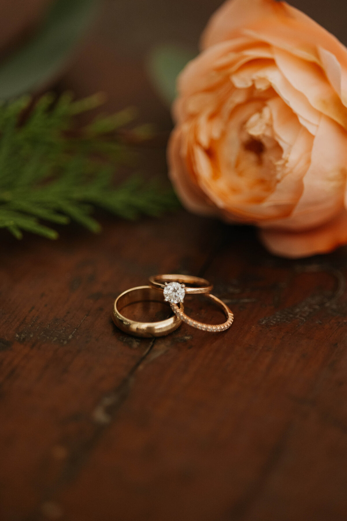 Elsabet-Martin-Wedding-Nov2024-473