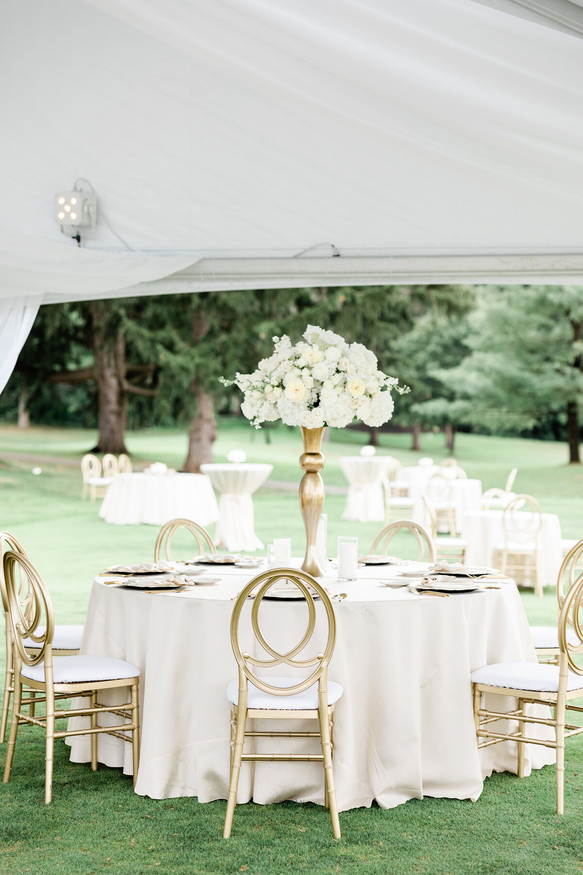 PATTERSON PREVIEW-259