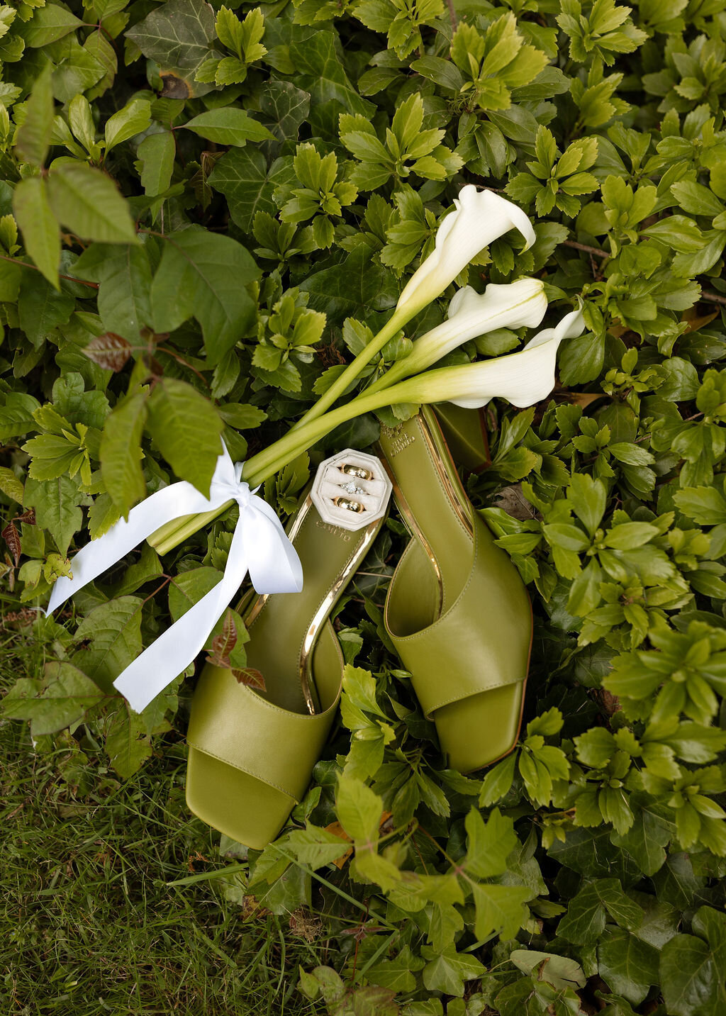 maloriegwynphotography-4