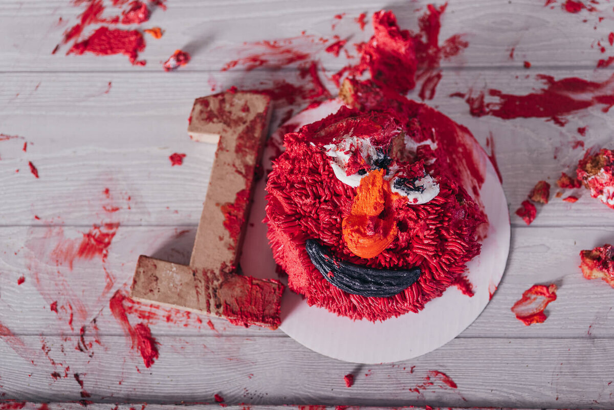 aalijah-Cleveland-cakesmash-Photography012