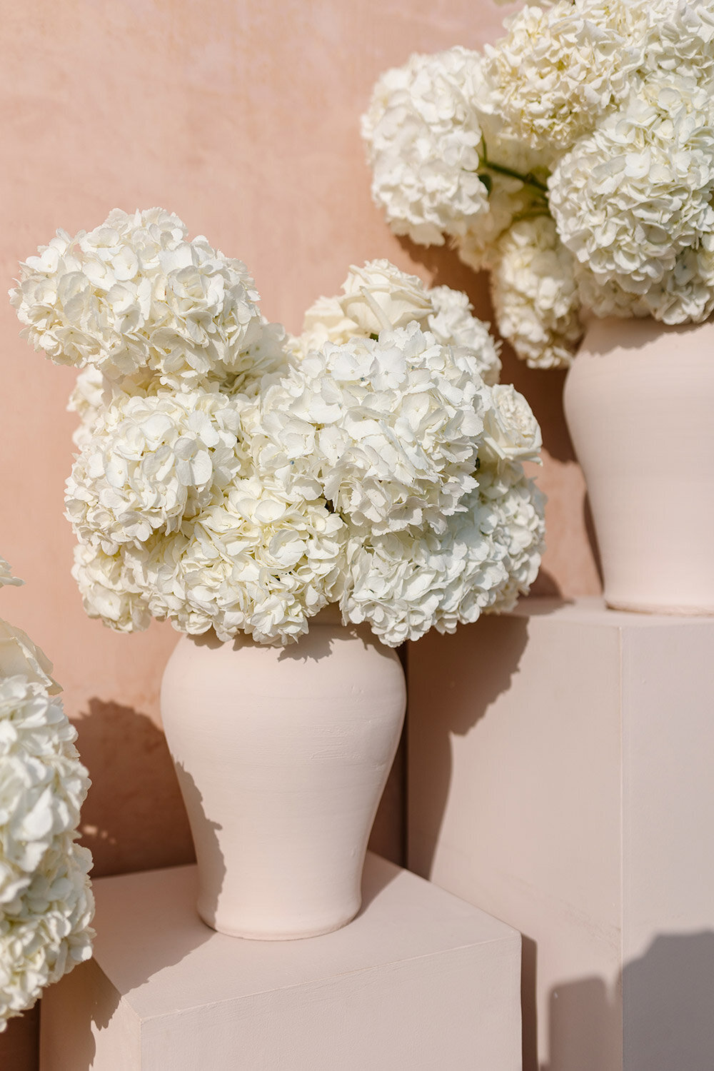 white hydrangeas