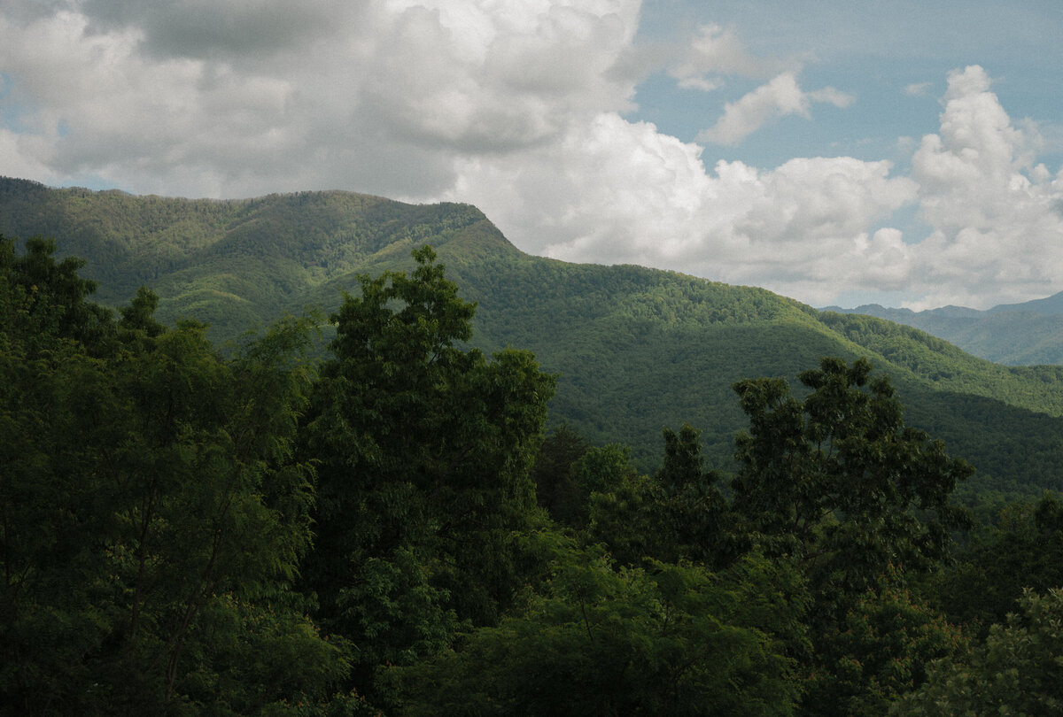 DSC_1458