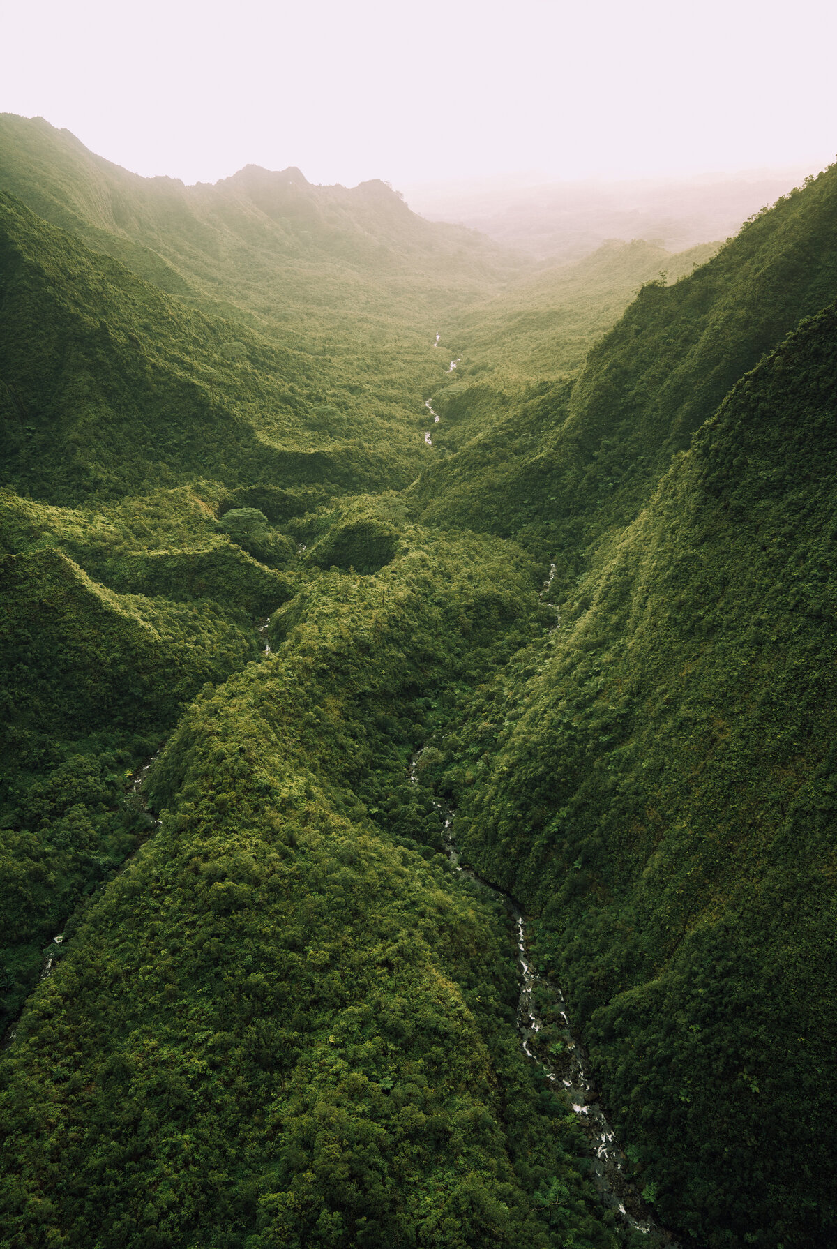 Aerial view of Kauai landscape Hawaii