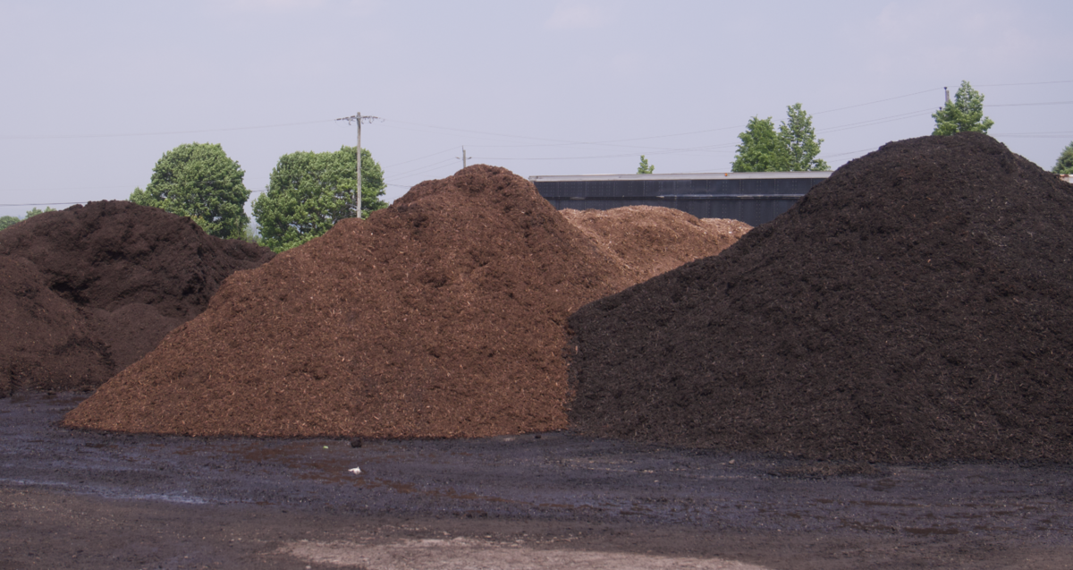 Screenshot 2025-07-21 at 10.57.41 AM