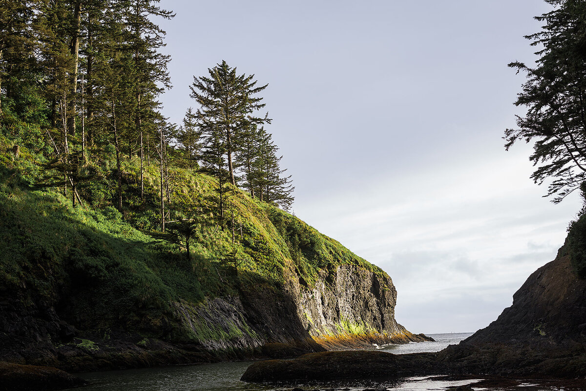 Final_Seaview Washington Elopement - Tara Nichole Photo - 2024 - Lauren and Jarrod-163