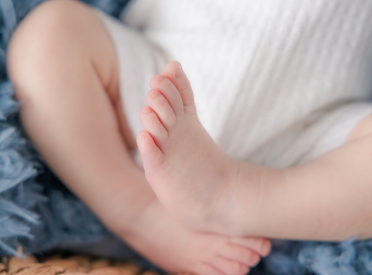 Tampa-newborn-baby-blue-photographer-109