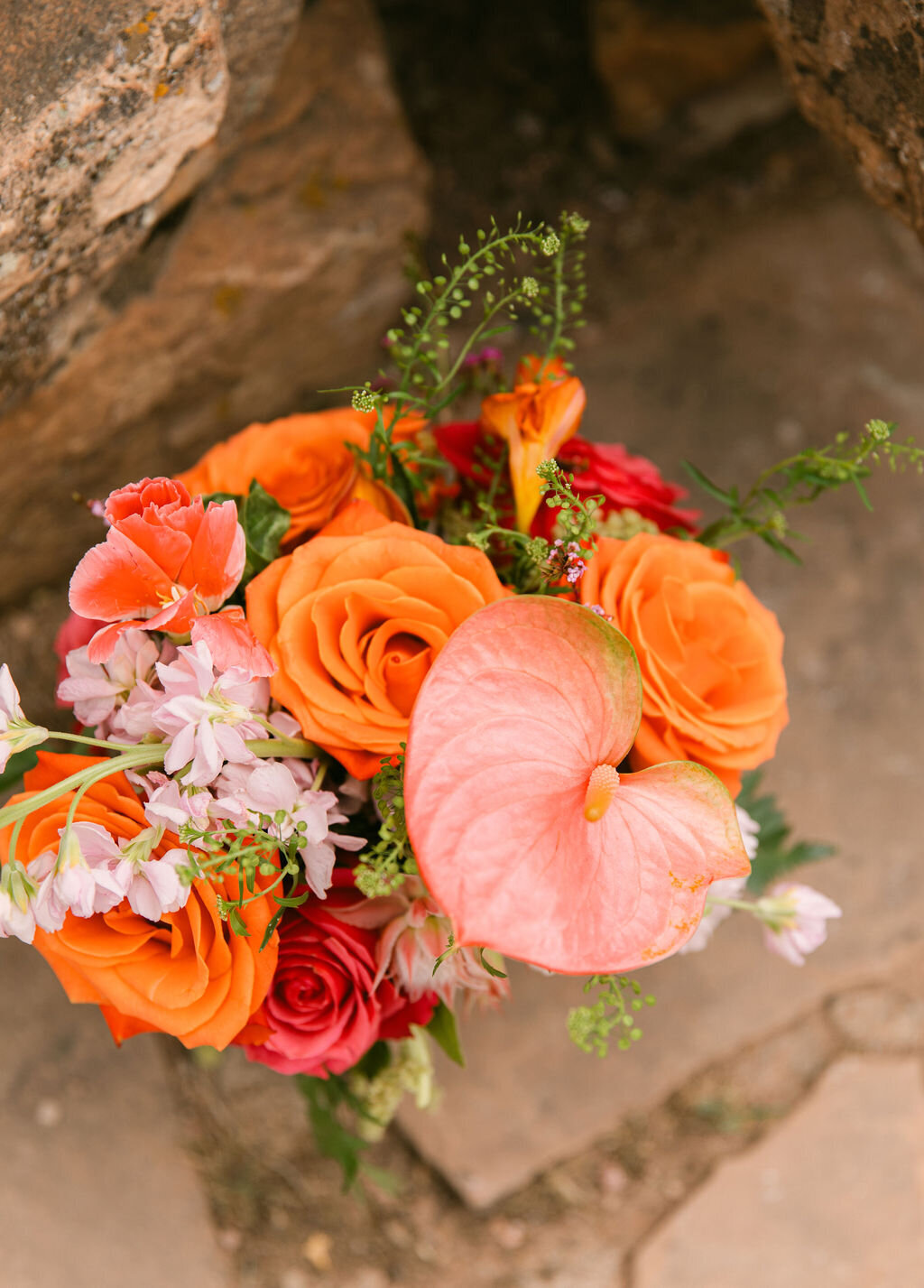 halfway-house-boulder-wedding0