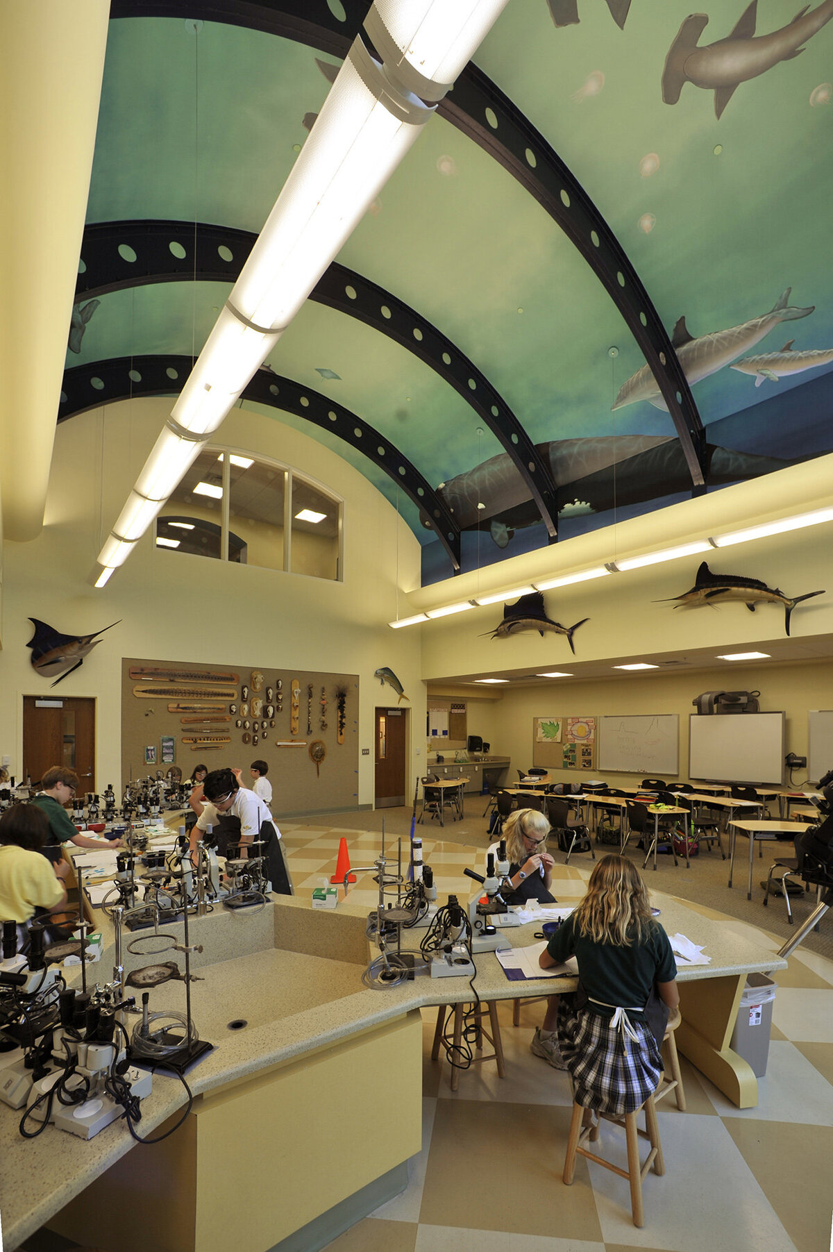interior view of the science lab at Savannah Country Day School with vaulted ceiling and mural painting on the ceiling