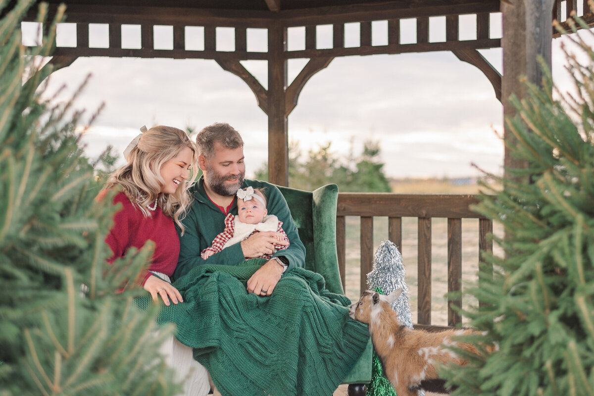 family-minis-christmas-tree-farm